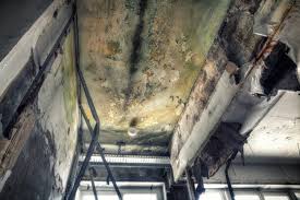 Best Biohazard Mold Removal  in South Hempstead, NY